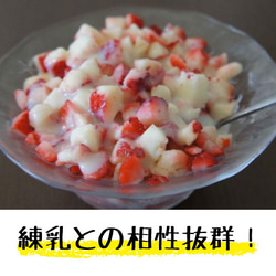 コロコロにダイスカット！国産完熟冷凍いちご「ぷち苺」500gｘ2袋 5枚目の画像