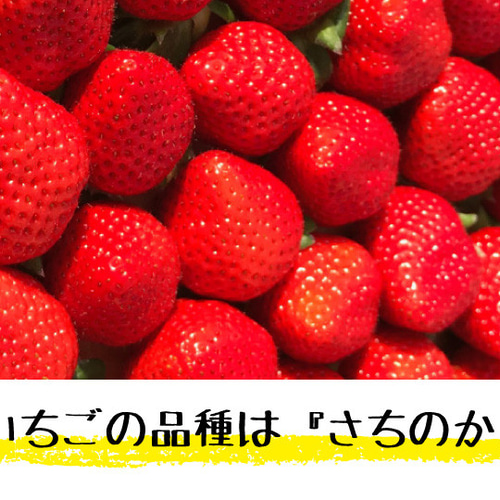 コロコロにダイスカット！国産完熟冷凍いちご「ぷち苺」500gx2
