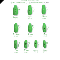 ジェルネイルチップ☆付け爪~3D蝶々〜グリーンマグネット×シアーグリーン 11枚目の画像