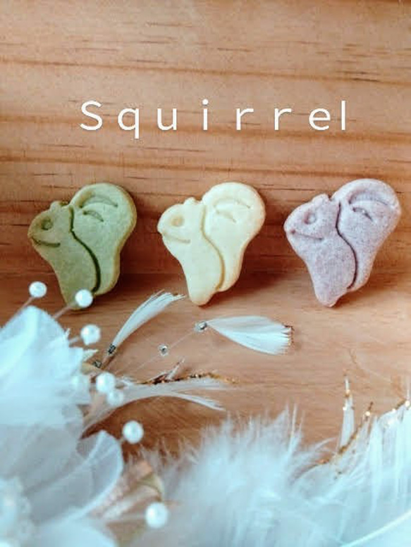 松鼠形餅乾模具（22）/Squirrel-shaped cookie cutter 第1張的照片