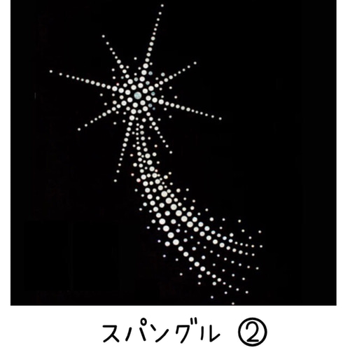 スパングル レオタード ※シュシュ付き オーダーページ その他