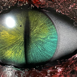 【Dragon Eyes】 Tsavorite Eye　《額付》 2枚目の画像