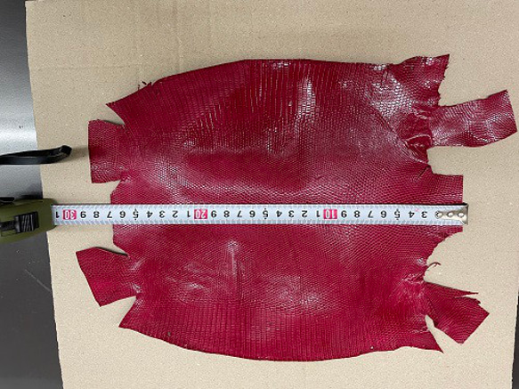 リザード　トカゲ 革 　希少色　24センチ　エキゾチックレザーc-11 3枚目の画像