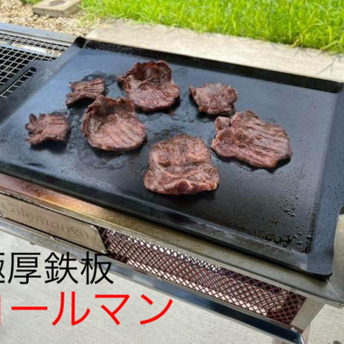 コールマン クールスパイダープロ対応鉄板 バーベキュー鉄板 焼肉 極厚 ...