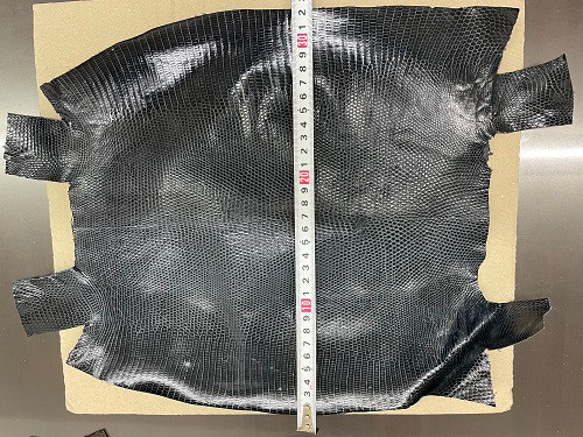 リザード　トカゲ 革 　希少色　31センチ　エキゾチックレザーc-15 2枚目の画像