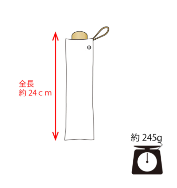  第7張的照片