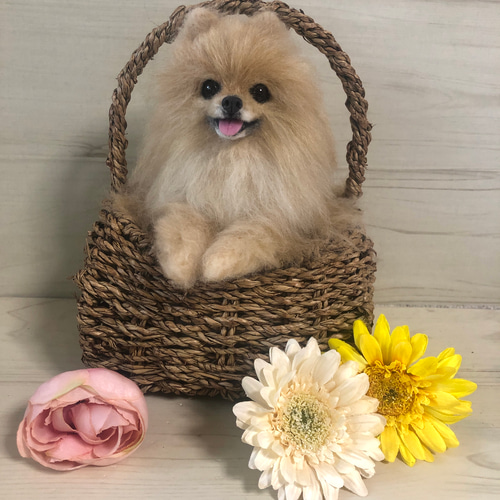 羊毛フェルト ポメラニアン ポメちゃんのフラワーバスケット