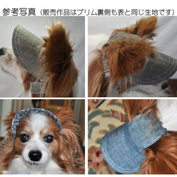 【M 4㎏前後の小型犬用】犬の帽子＊cotton起毛チェック赤黄（白ゴム） 2枚目の画像