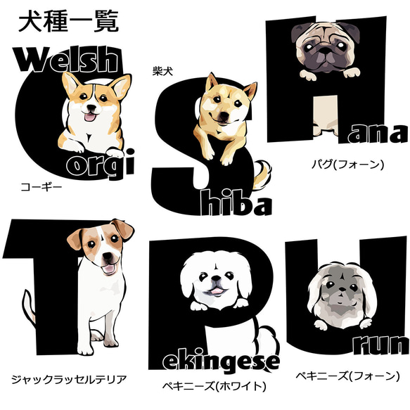 【受注生産】アルファベット犬 Tシャツ　～ワンちゃんのイニシャルでお作りします～ コーギー　パグ　ペキニーズ　柴犬他 5枚目の画像