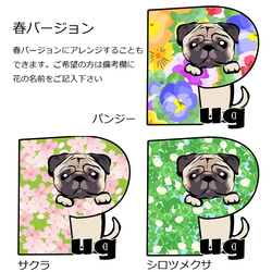 【受注生産】アルファベット犬 Tシャツ　～ワンちゃんのイニシャルでお作りします～ コーギー　パグ　ペキニーズ　柴犬他 8枚目の画像