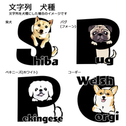 【受注生産】アルファベット犬 Tシャツ　～ワンちゃんのイニシャルでお作りします～ コーギー　パグ　ペキニーズ　柴犬他 3枚目の画像