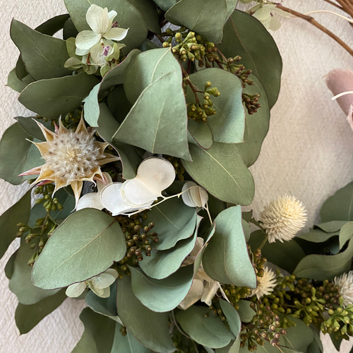 natural*° ユーカリ ポポラズベリー wreath ドライフラワー リース