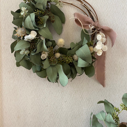 natural*° ユーカリ ポポラズベリー wreath ドライフラワー リース
