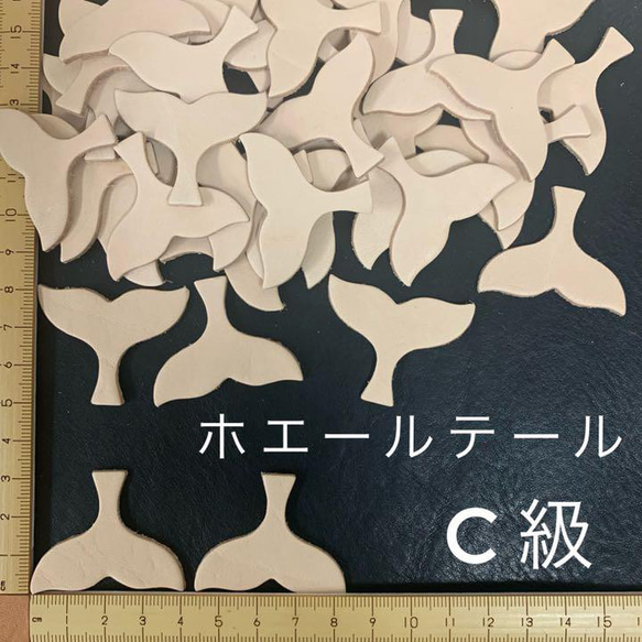  第1張的照片