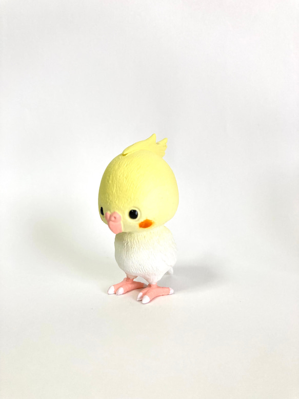 トコトコインコ(オカメ) 1枚目の画像