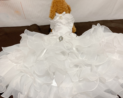 ONEKOSAMA OINUSAMA 犬 猫 帽子 ベレー帽 ペット 犬グッズ 猫