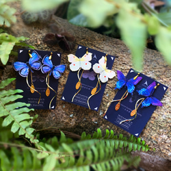 美洲藍鳳蝶 刺繡耳環 耳夾 夾式 抗敏耳針 生日禮物 禮盒 蝴蝶 第7張的照片