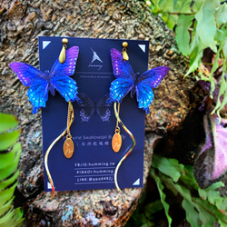 美洲藍鳳蝶 刺繡耳環 耳夾 夾式 抗敏耳針 生日禮物 禮盒 蝴蝶 第5張的照片