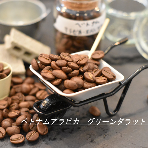 【コーヒー教材プレゼント付・送料無料】中深煎り　ベトナムアラビカグリーンダラット　100g　コーヒー豆　珈琲豆　自家焙煎 2枚目の画像