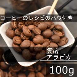 【コーヒー教材プレゼント付・送料無料】中煎り　雲南アラビカ　100g　自家焙煎珈琲豆　コーヒー豆　アイスコーヒー 1枚目の画像