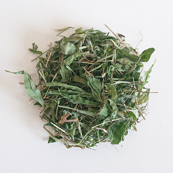 コブナグサ（小鮒草）50g ◆ 草木染（材料）天然・植物染料 1枚目の画像