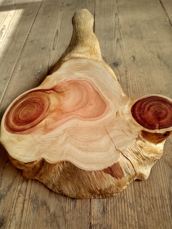 【木製看板製作】 一枚板 桧 55cm×28cm 