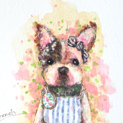 水彩画イラスト フレンチブルドック（片パイド）のミニぬいぐるみ French Bulldog 原画 はがきサイズ 額なし 2枚目の画像