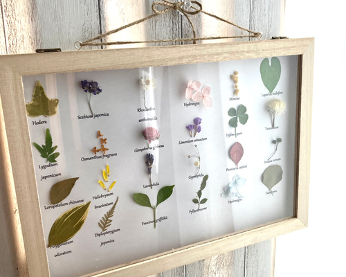 626e122f30397edcdc4d120b92f7b4