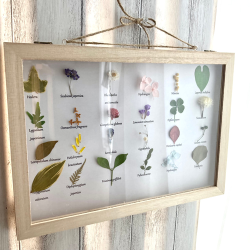 本物の花フレーム入り リーフ インテリア 壁掛け 24K GOLD 壁飾り ゴールド シノワズリ 幅36cm×高さ88cm｜おしゃれな