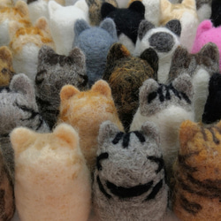 羊毛フェルトの猫のおもちゃ　ちょっと大きい猫ボール　クリームミケ 5枚目の画像