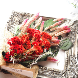 ☆752 hanatoteto ケイトウ ドライフラワー 450本 ☆752 hanatoteto ケイトウ ドライフラワー 450本