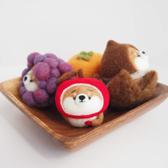 【受注製作】なりきりりんごのまゆ柴犬(赤柴・黒柴・白柴)　羊毛フェルト 10枚目の画像