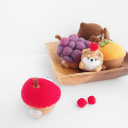 【受注製作】なりきりりんごのまゆ柴犬(赤柴・黒柴・白柴)　羊毛フェルト 9枚目の画像
