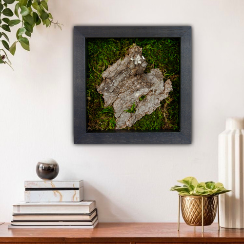 モスアート モダンアート 苔 壁掛け リビングアート その他アート