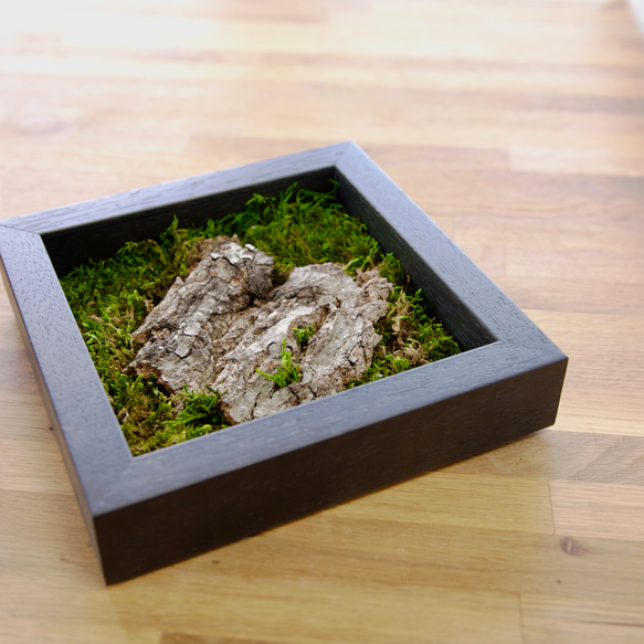 モスアート モダンアート 苔 壁掛け リビングアート その他アート