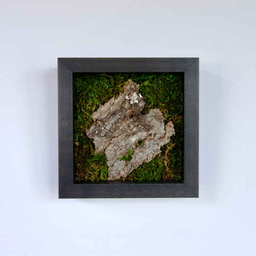 モスアート モダンアート 苔 壁掛け リビングアート その他アート