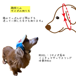 NEW 犬 帽子 ペット用 熱中症対策 夏バテ防止 おしゃれグッズ 6枚目の画像