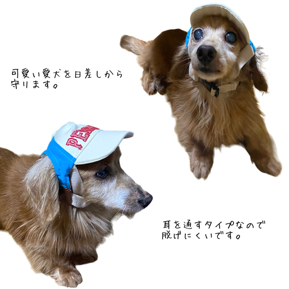 NEW 犬 帽子 ペット用 熱中症対策 夏バテ防止 おしゃれグッズ 5枚目の画像