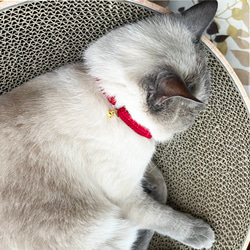 超軽量＊シンプルな手編みの猫首輪【リング調整タイプ】軽くてやわらかい猫の首輪＊赤 3枚目の画像