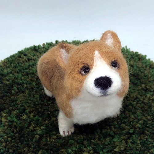 もふもふ 上目遣い コーギー 犬 羊毛フェルト人形 羊毛フェルト