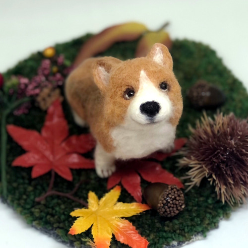 もふもふ 上目遣い コーギー 犬 羊毛フェルト人形 羊毛フェルト