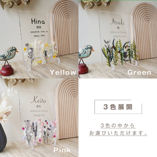 命名書 flower field Green i08】命名書 おしゃれ かわいい