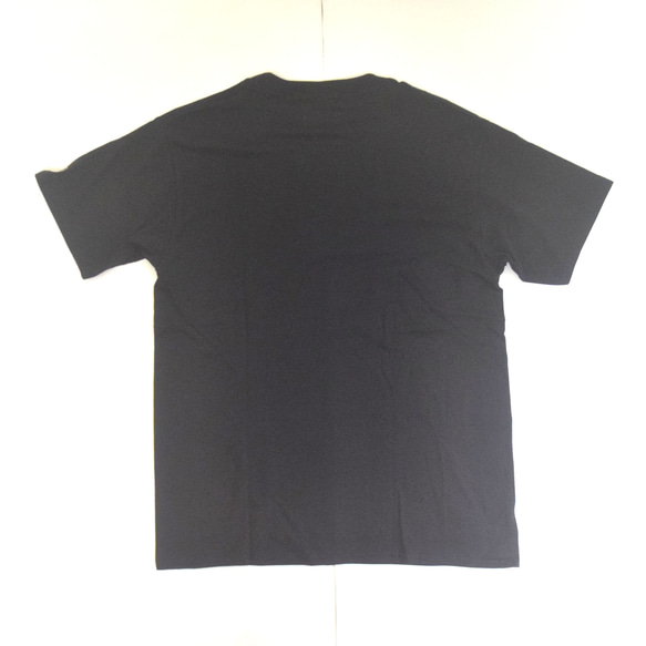 インコツアーTシャツ「インコピアノ/シンセサイザー」 ブラック Mサイズ WATERFALLオリジナル商品 5枚目の画像