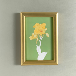 【選べる 敬老の日 or 文字なし】快活と情熱の花　カンナのポストカード 7枚目の画像