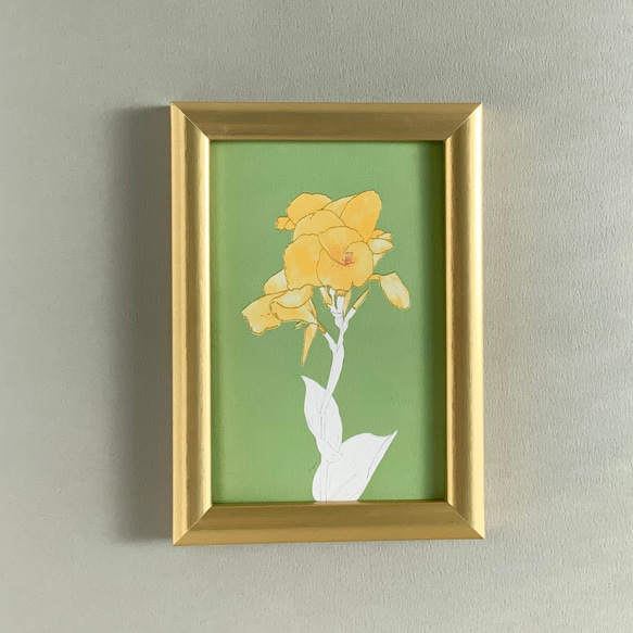 【選べる 敬老の日 or 文字なし】快活と情熱の花　カンナのポストカード 7枚目の画像