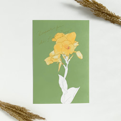 【選べる 敬老の日 or 文字なし】快活と情熱の花　カンナのポストカード 8枚目の画像