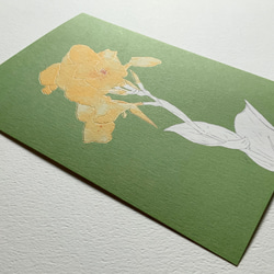 【選べる 敬老の日 or 文字なし】快活と情熱の花　カンナのポストカード 3枚目の画像