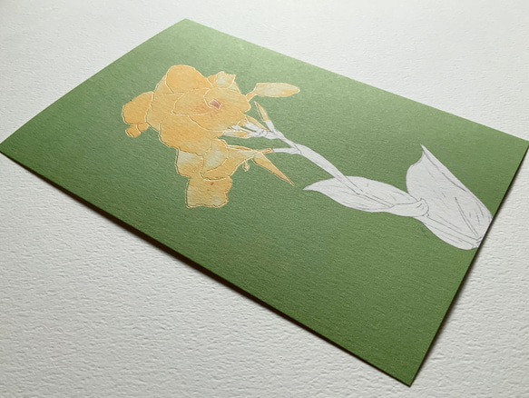 【選べる 敬老の日 or 文字なし】快活と情熱の花　カンナのポストカード 3枚目の画像