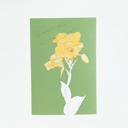 快活と情熱の花　カンナのポストカード　選べる イラストのみ or 敬老の日【A-1】 5枚目の画像