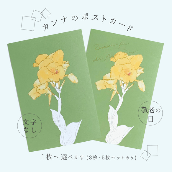 【選べる 敬老の日 or 文字なし】快活と情熱の花　カンナのポストカード 1枚目の画像